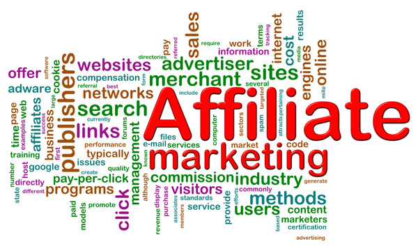 Affiliate Marketing is a great way to earn money from your blog or website.