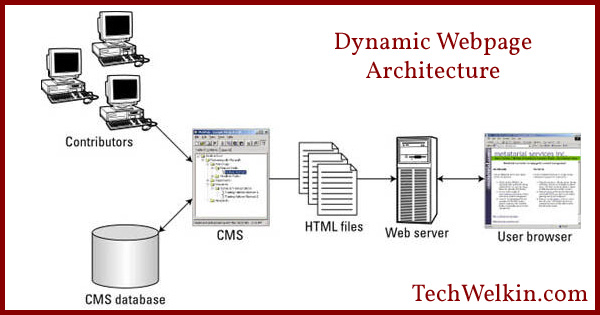 static website and dynamic website examples