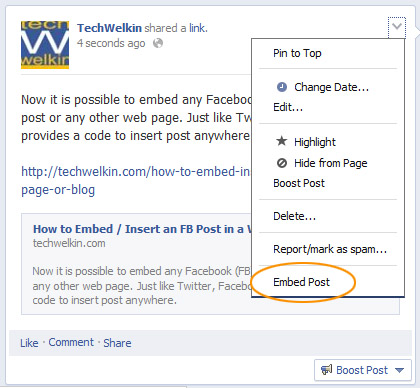 Menu showing the Embed Post link