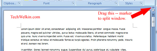 MS Word  How to Split a Document in Two Windows - 99