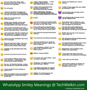 True Meaning of WhatsApp Emoticons, Smiley, Symbols