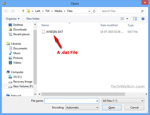 Example of a dat file in Open dialog box of Windows.