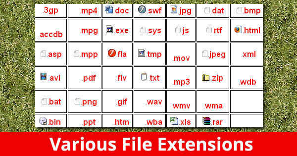 Various file extensions.