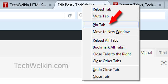 Internet tricks: You can pin a tab in your browser.
