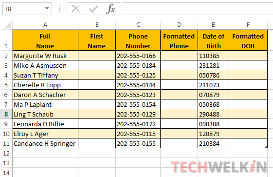 Excel flash fill sample sheet