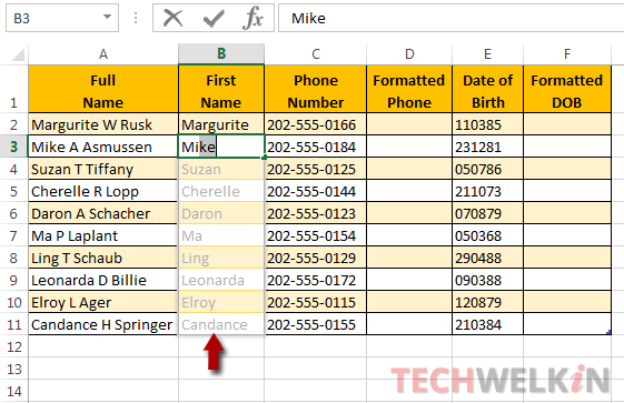 Excel flash fill text example