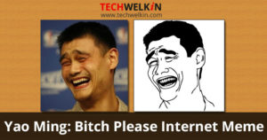 Yao Ming's face as Bitch Please Internet Meme