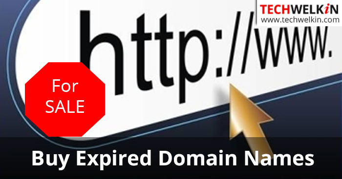 buy expired domain names from auction websites