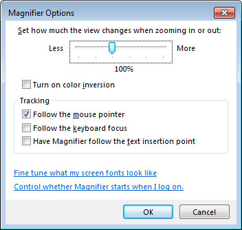 Screen magnifier options