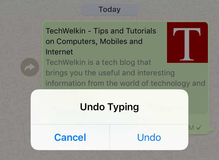 shake device to undo typing in iphone
