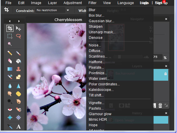 Pixlr is a free graphic designing tool